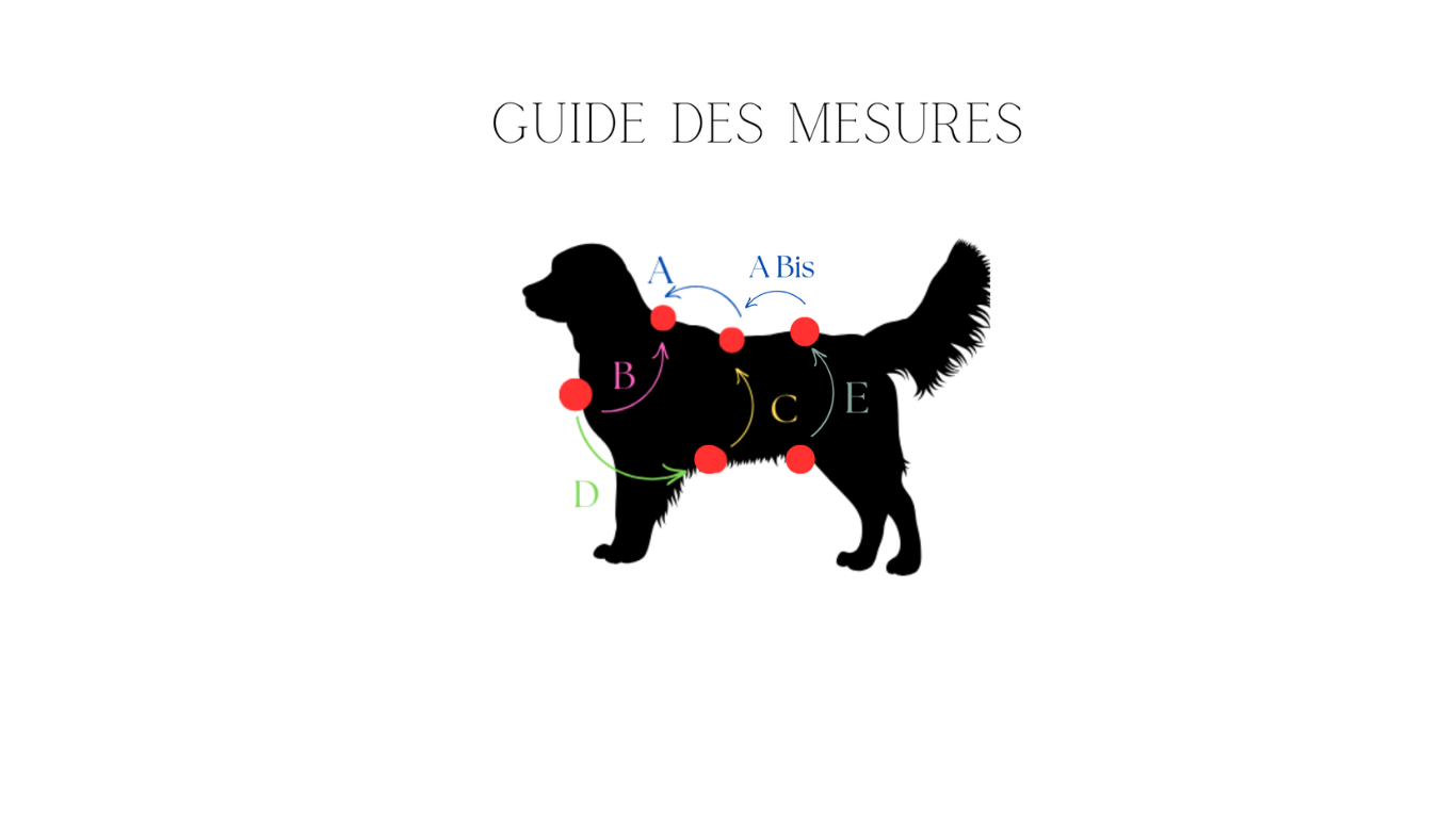 Harnais Anti fugue (en Y)