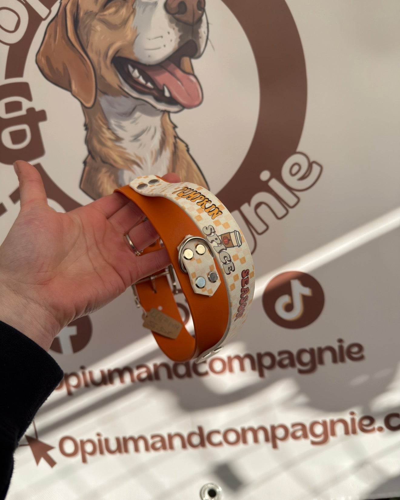 Collier à poignée Pumpkin, L (47/57cm)