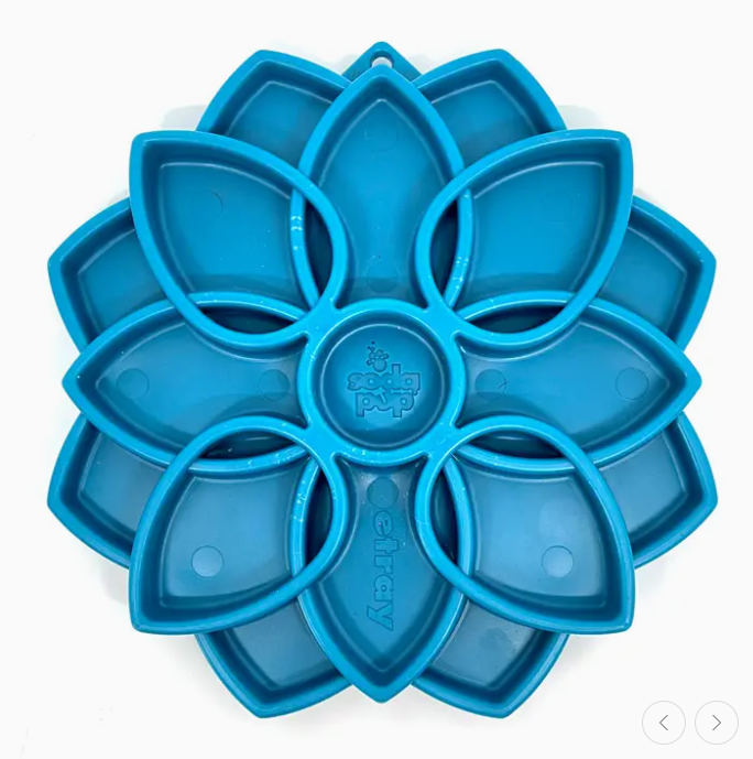 Plateau d'enrichissement Mandala - SodaPup