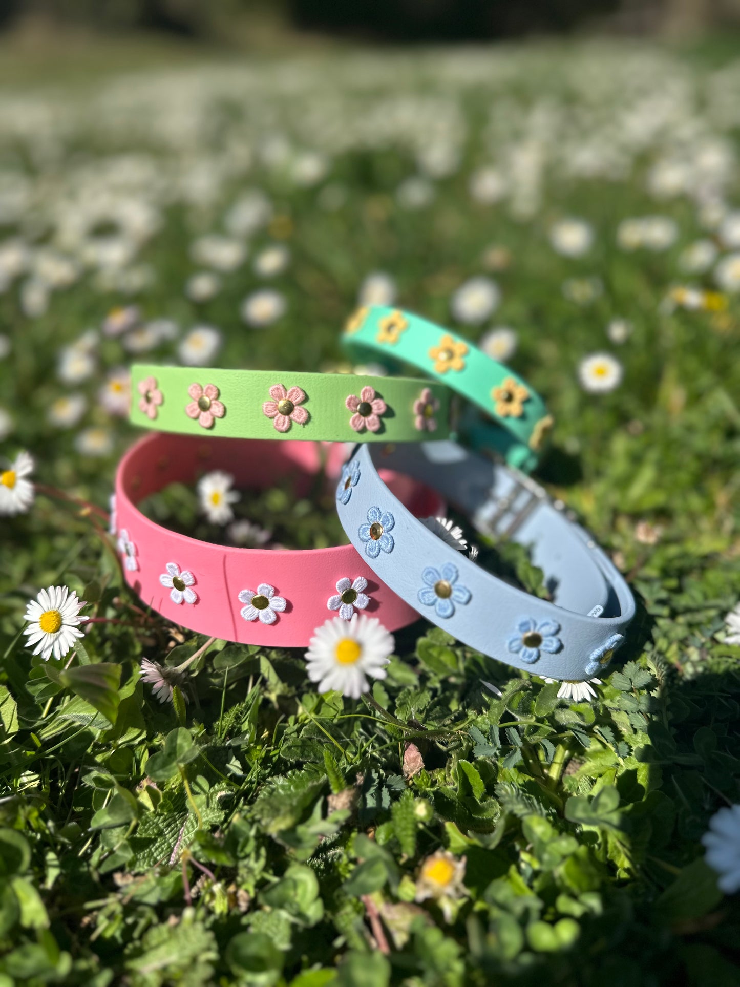 🌸 Box Printemps Fleuri Calin Calin x O&C