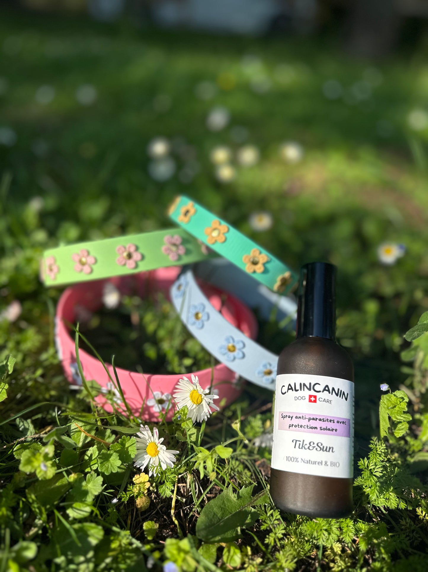 🌸 Box Printemps Fleuri Calin Calin x O&C
