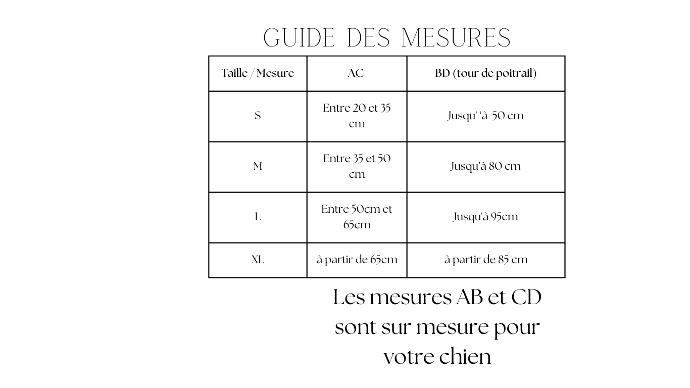 Harnais en H / impression UV Carte blanche