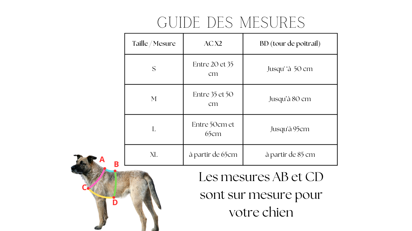 Harnais réfléchissant ( en Y )