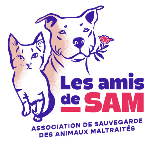 Les amis de Sam