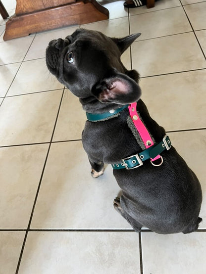 Harnais Teddy Bear ( En Y)