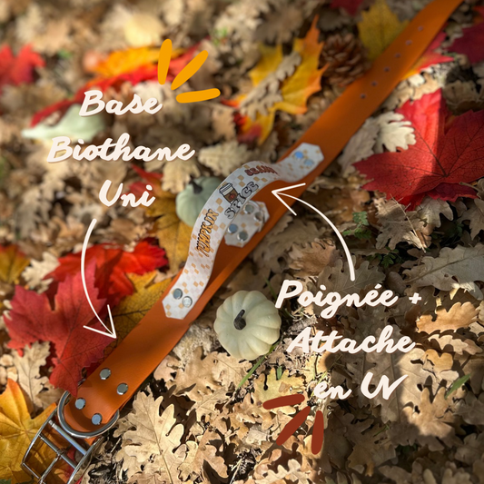 Pumpkin Capsule 2