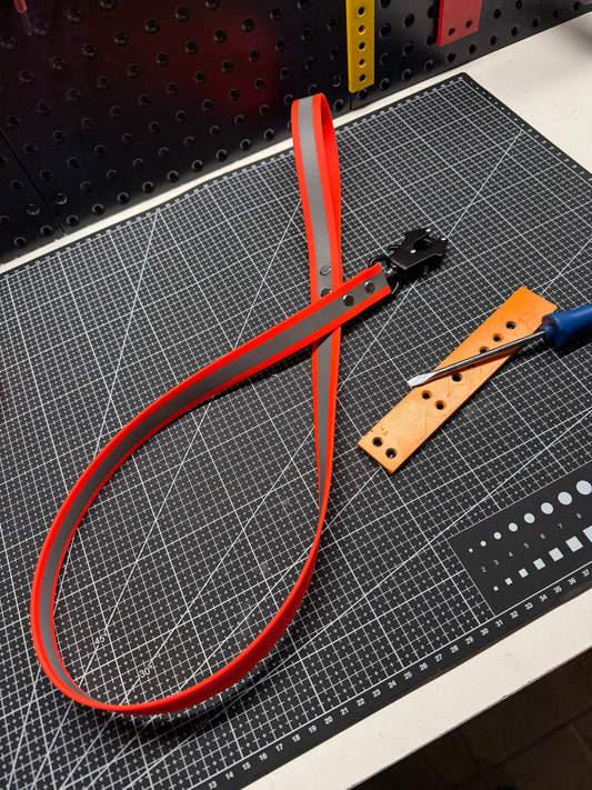 Laisse réfléchissante