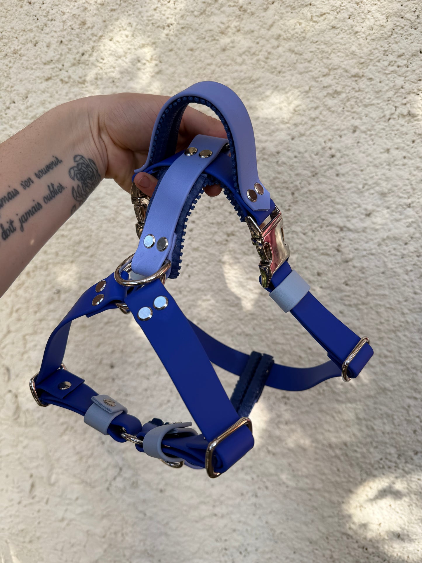 Harnais Confort + ( en Y )