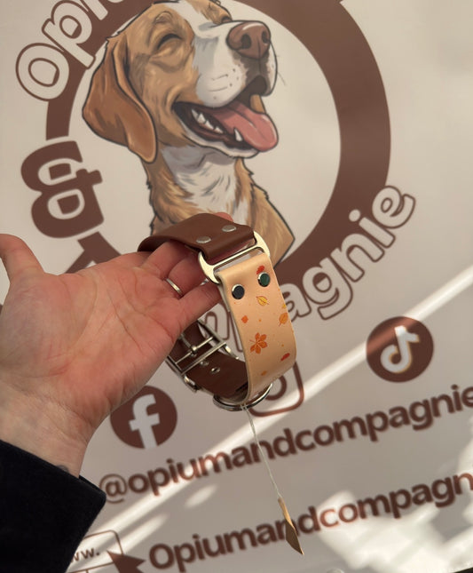 Automn, M+ (40/50cm)