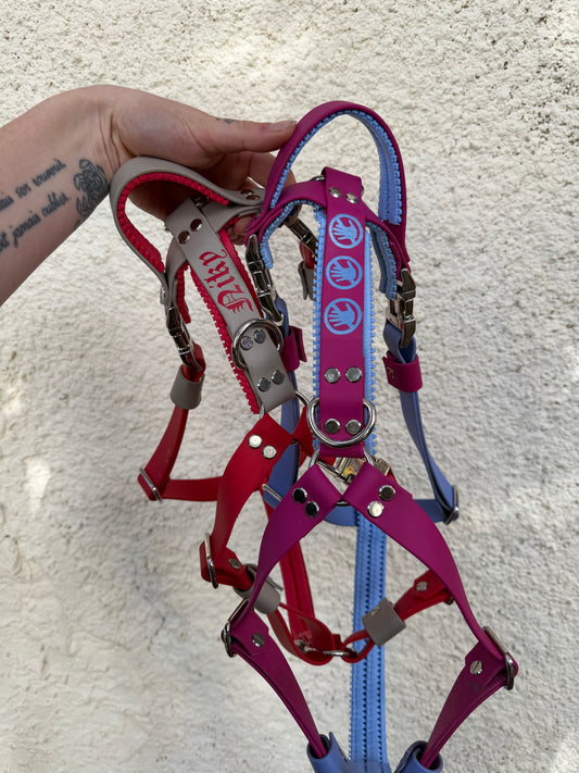 Harnais Confort + ( en Y )