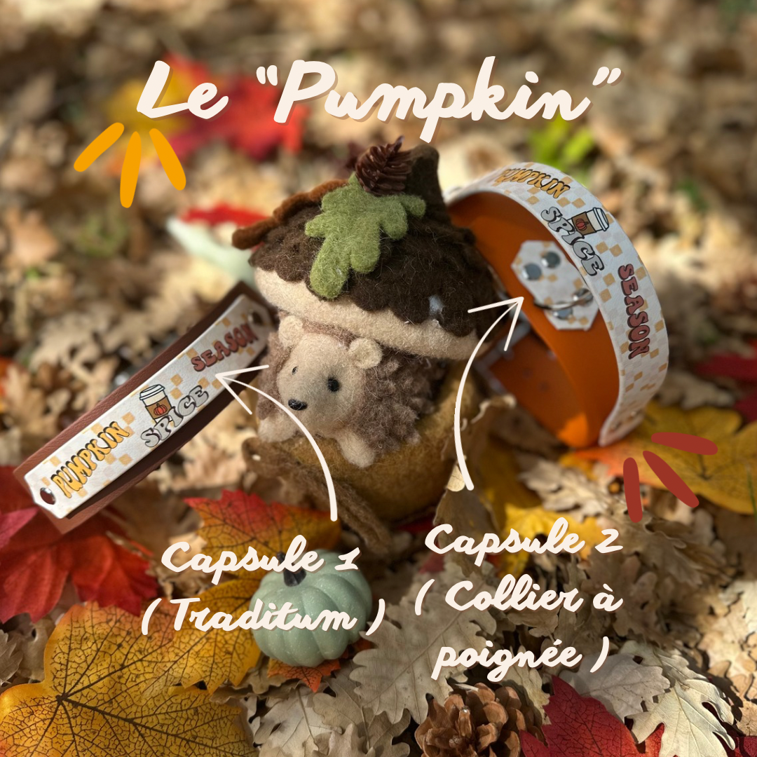 PumPkin Capsule 1