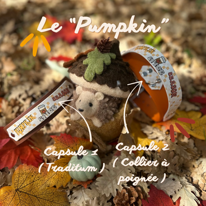 PumPkin Capsule 1