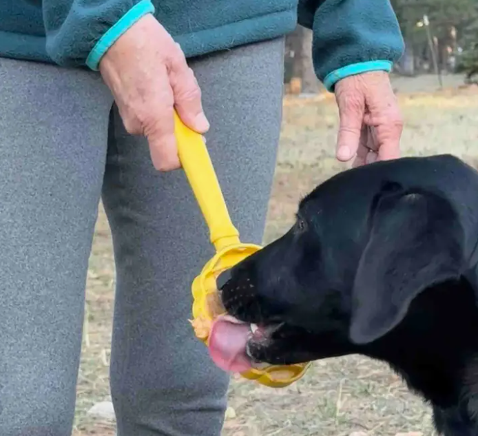 Jouet d'enrichissement interactifs à main Lick Stick - SodaPup