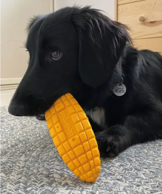 Jouet à mâcher ou à lécher pour chien Mais - SodaPup