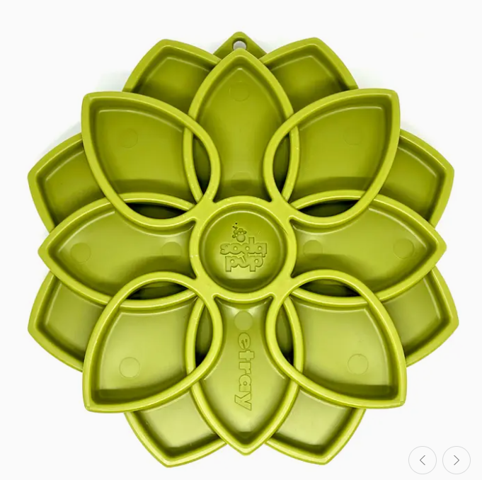 Plateau d'enrichissement Mandala - SodaPup