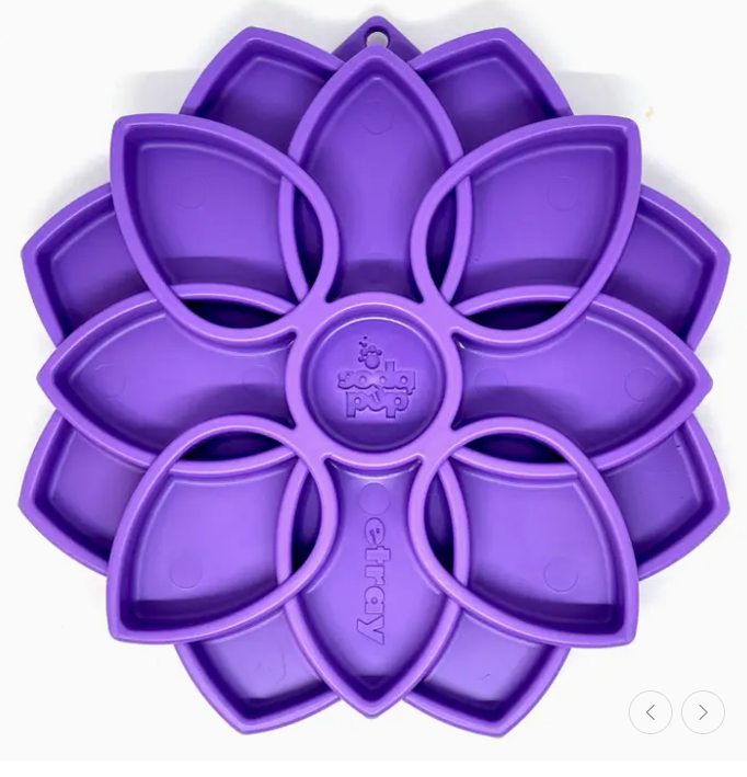 Plateau d'enrichissement Mandala - SodaPup