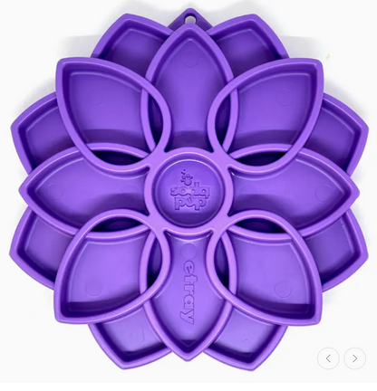 Plateau d'enrichissement Mandala - SodaPup