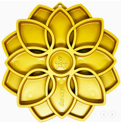 Plateau d'enrichissement Mandala - SodaPup