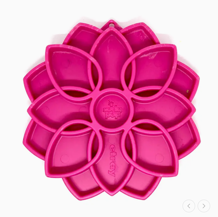 Plateau d'enrichissement Mandala - SodaPup