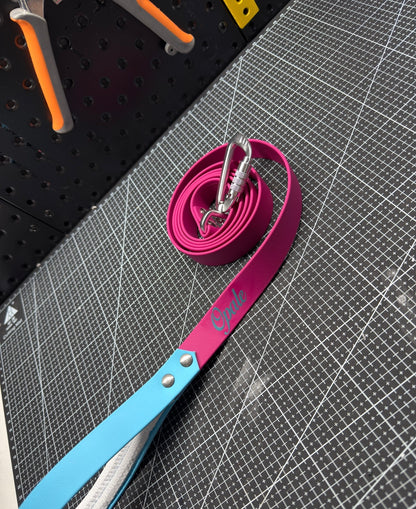 Laisse bi-colore