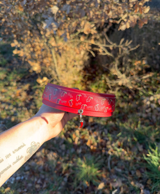 Collier Spicy ( édition limitée )