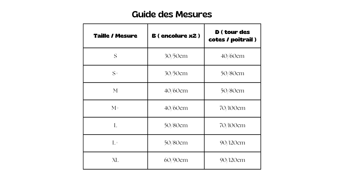 Harnais Anti fugue (en Y)