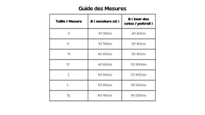 Harnais Anti fugue (en Y)