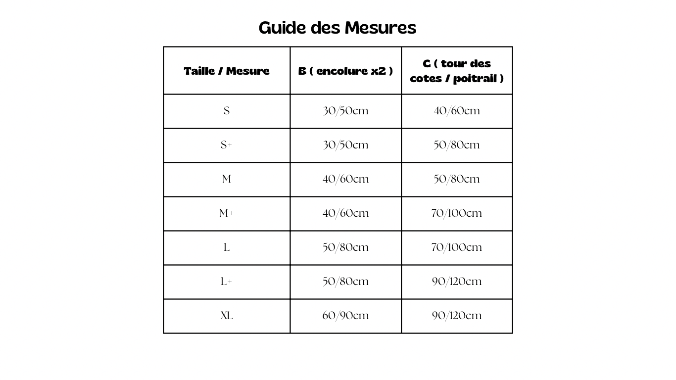 Harnais Anti fugue (en Y)