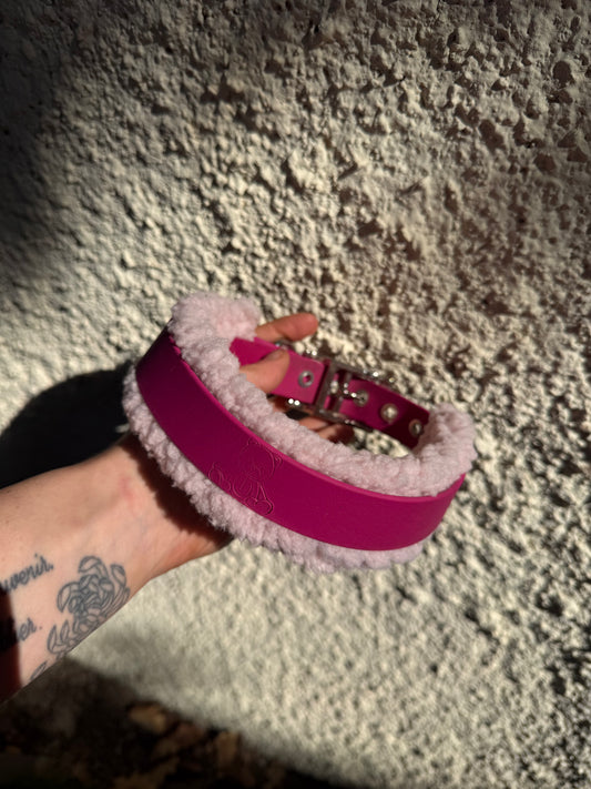 Collier Sherpa - Editon Hiver
