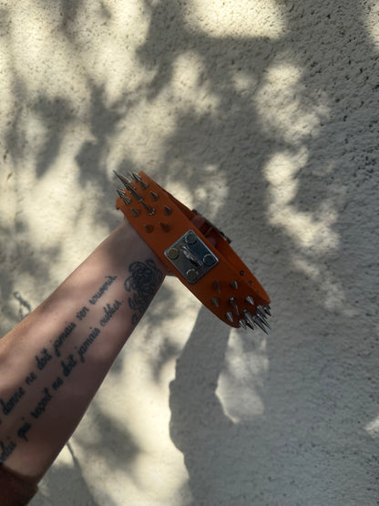 Cerberus - Collier de protection