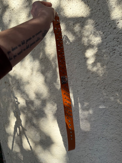 Cerberus - Collier de protection