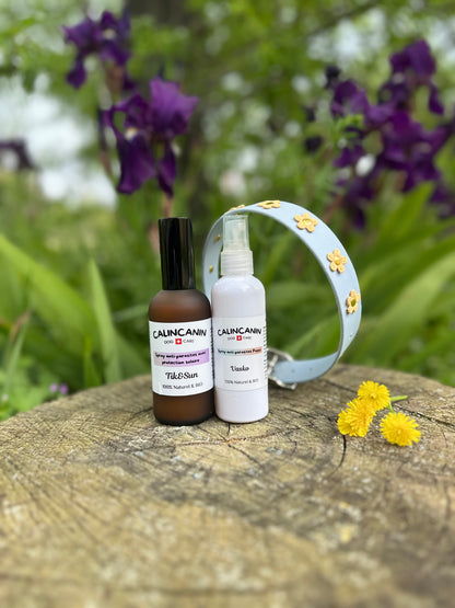 🌸 Box Printemps Fleuri Calin Calin x O&C