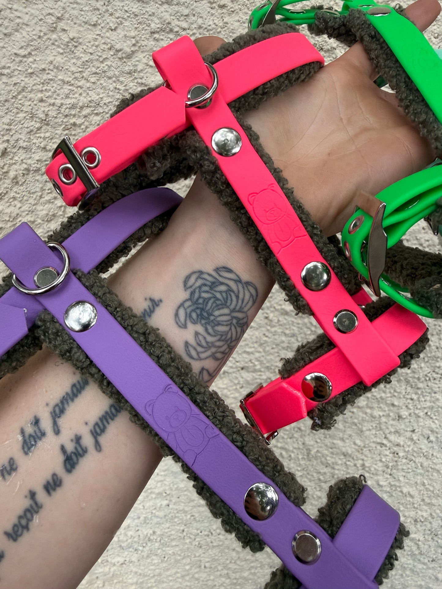 Harnais teddy bear chat ( en H )