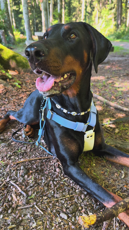 Harnais Teddy Bear ( En Y)