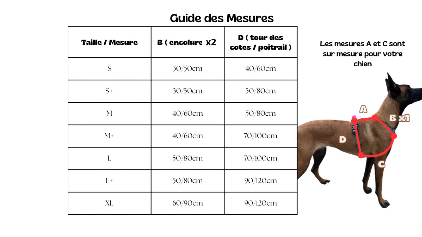 Harnais ultra réglable (En Y)